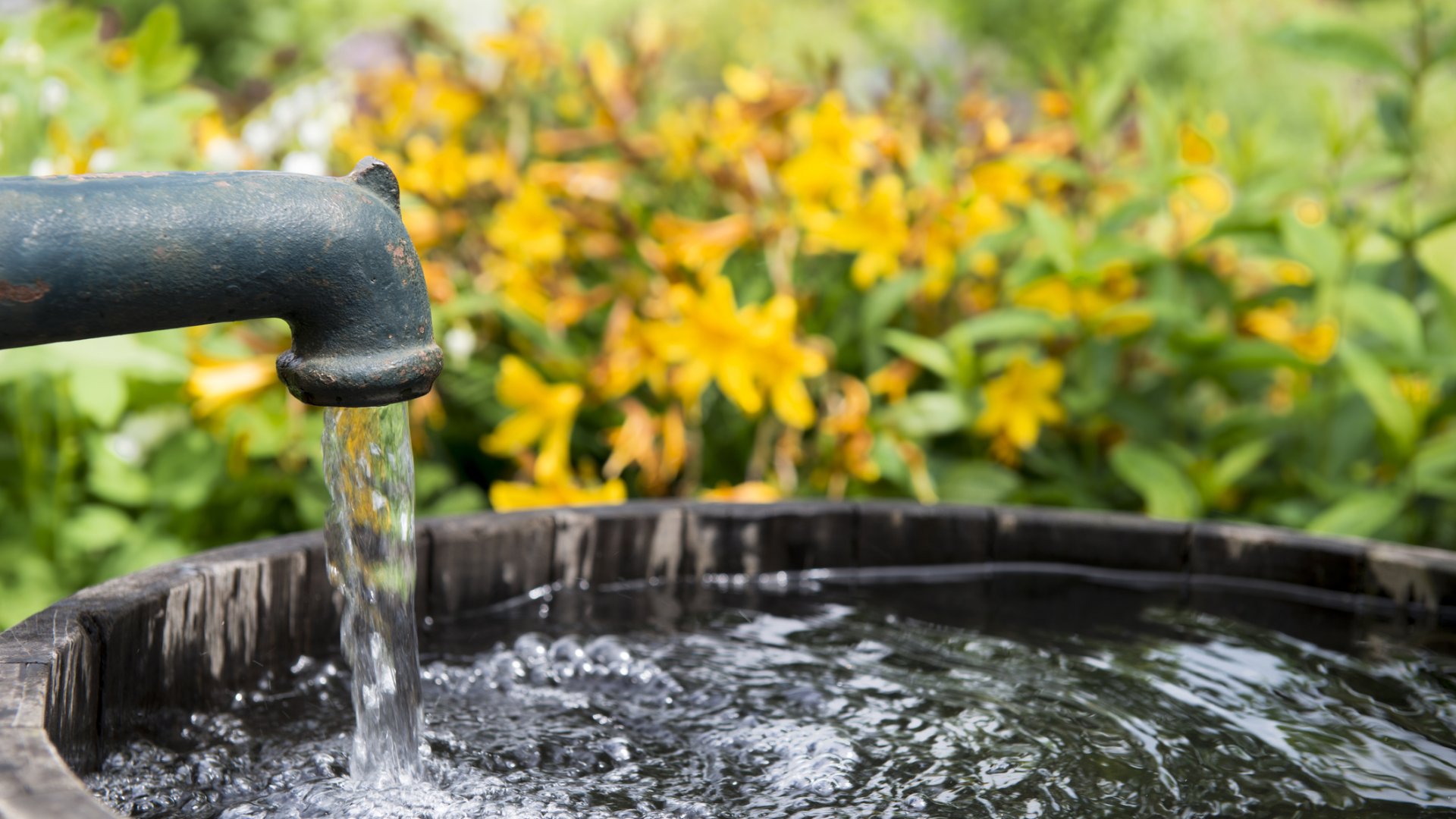 Kútvíz bevizsgálás nyugdíjas kedvezménnyel