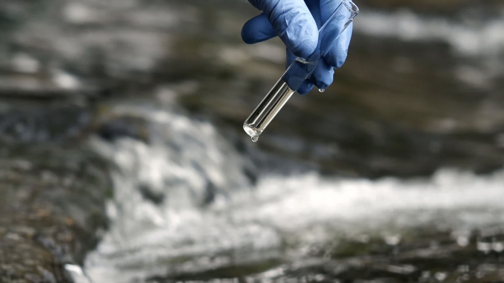 Vízminta jelentése