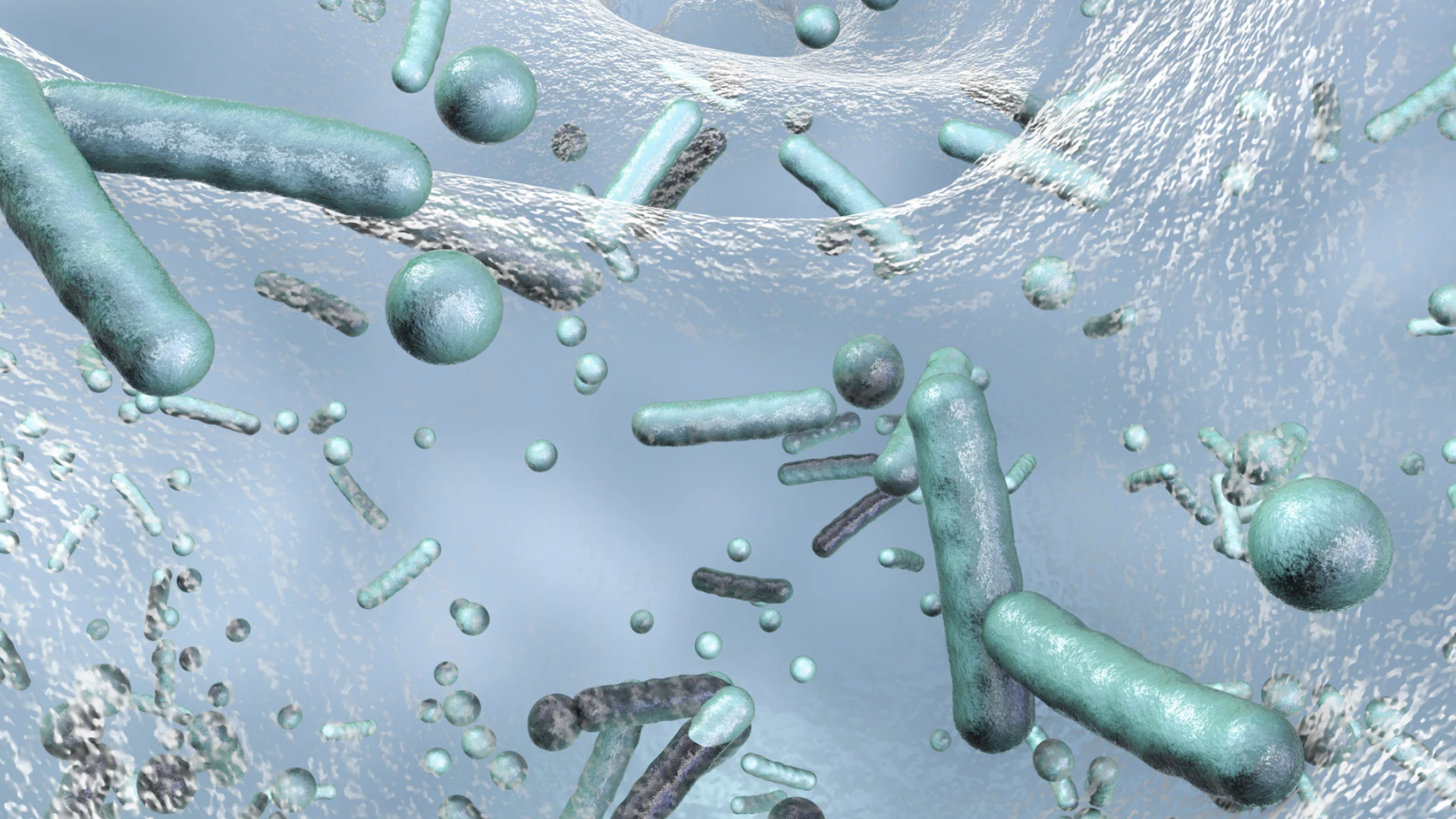 Legionella kockázatértékelés jelentése