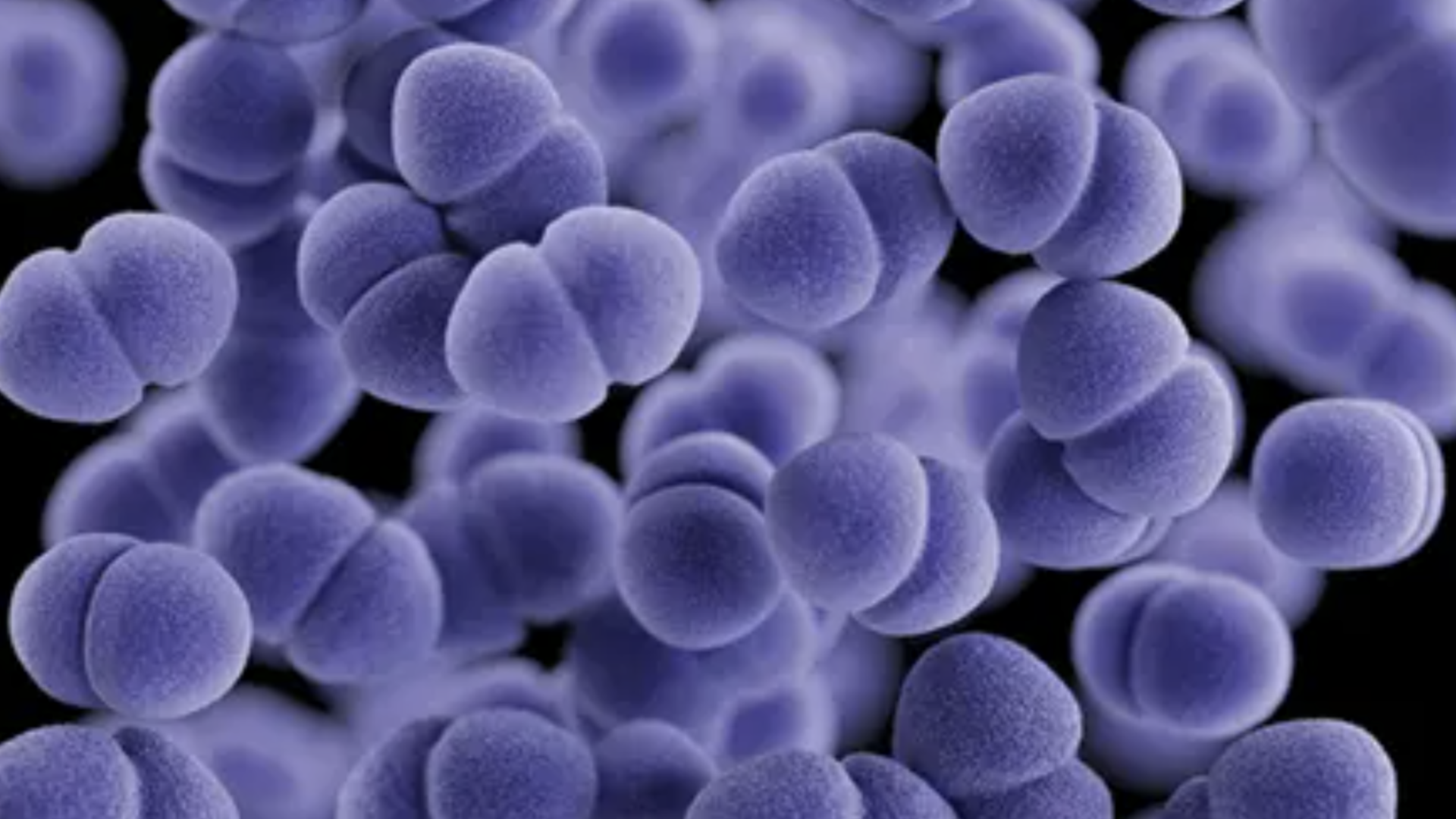 Enterococcus a vízben