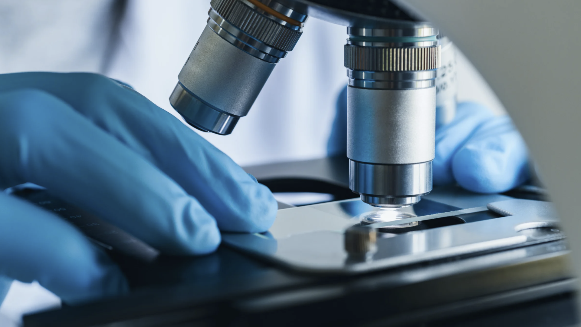 Mikroszkópos biológiai vizsgálat