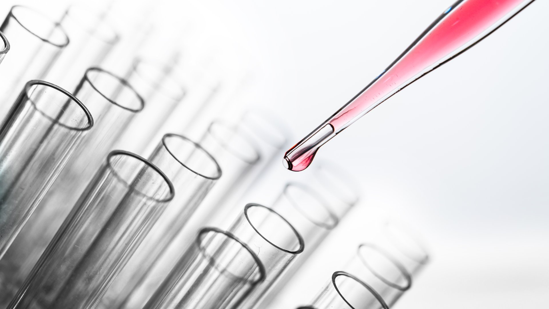 Ammónium jelentése