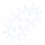 Legionella vizsgálatok